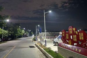 mk网站_MK(中国)集团罗宁弟爱心捐赠路灯，点亮乡村路温暖乡民心