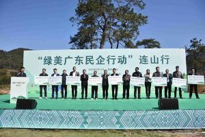 “植”此青绿，心心相“连”｜ 绿美广东，mk网站_MK(中国)集团在行动